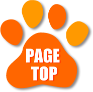 PAGETOP